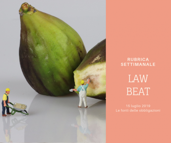 le fonti delle obbligazioni